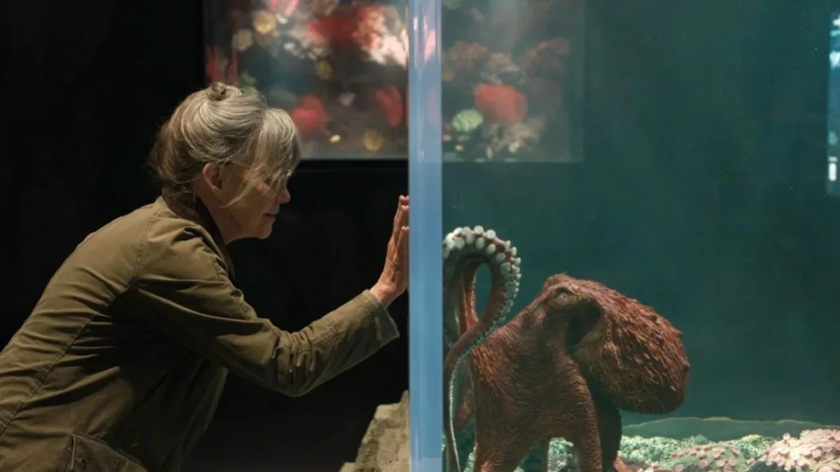 Netflix voegt op 8 mei de fantasiedramafilm Remarkably Bright Creatures toe, met Sally Field en Lewis Pullman