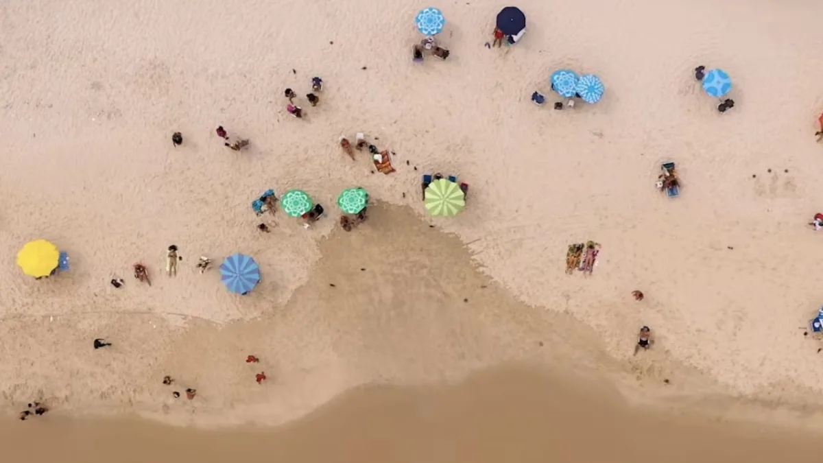 Trailer voor Shark Thrash onthult het verhaal van een gezin dat moet overleven in een overstroomd kustplaatsje vol haaien