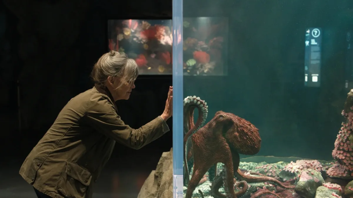 Verfilming van het boek Remarkably Bright Creatures boeit kijkers op Netflix met sterke prestaties en positieve recensies