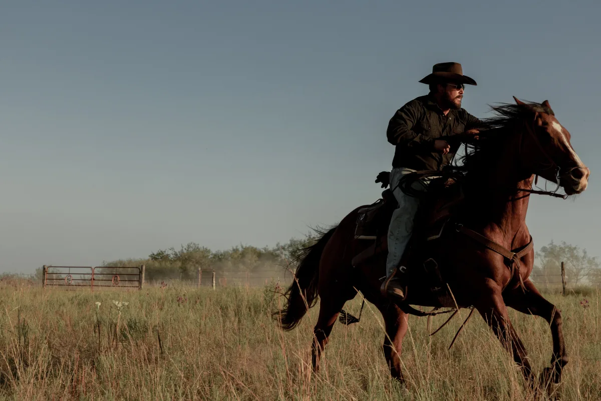 3400 ratelslangen gevonden tijdens opnames van 'Dutton Ranch' in Texas